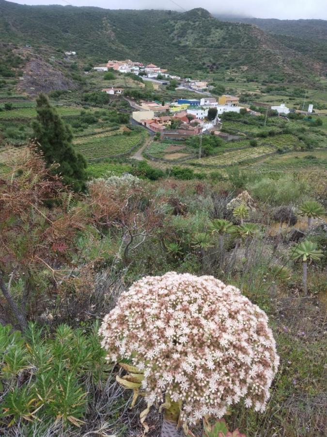 Santiago del Teide Casa La Canada מראה חיצוני תמונה